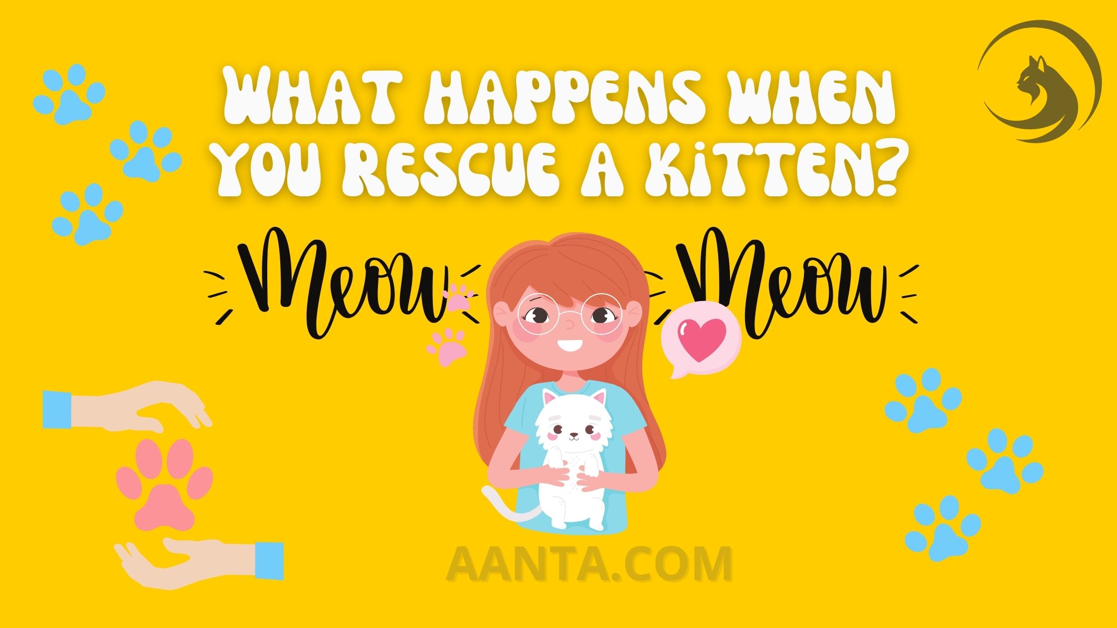 What happens when you rescue a kitten